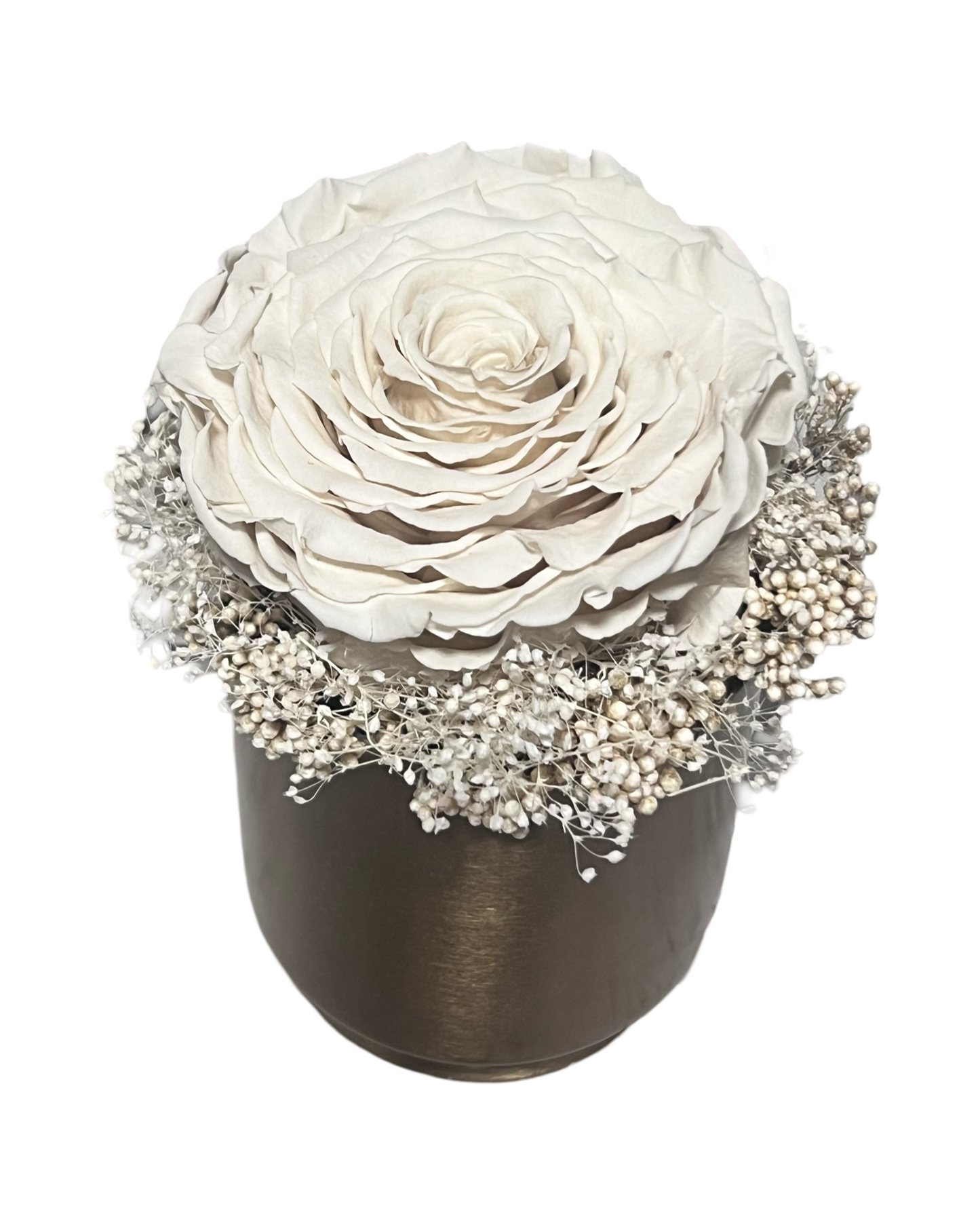 gold vase metalic white rose and small dry plants