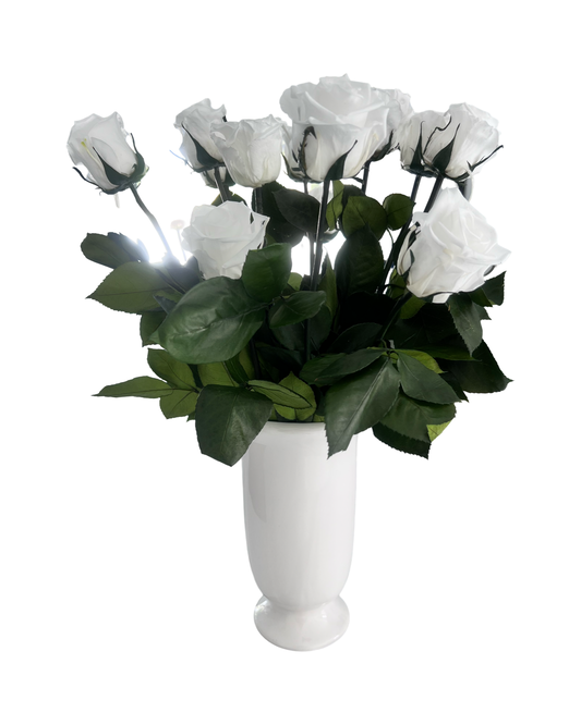 elegant  white vase