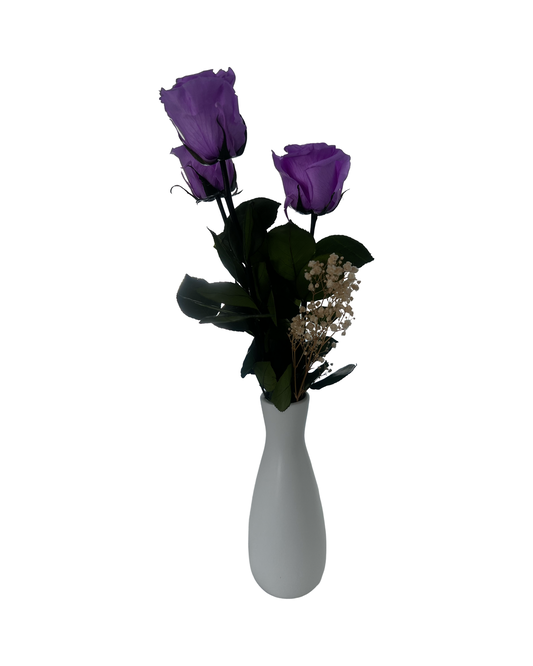 purple large roses