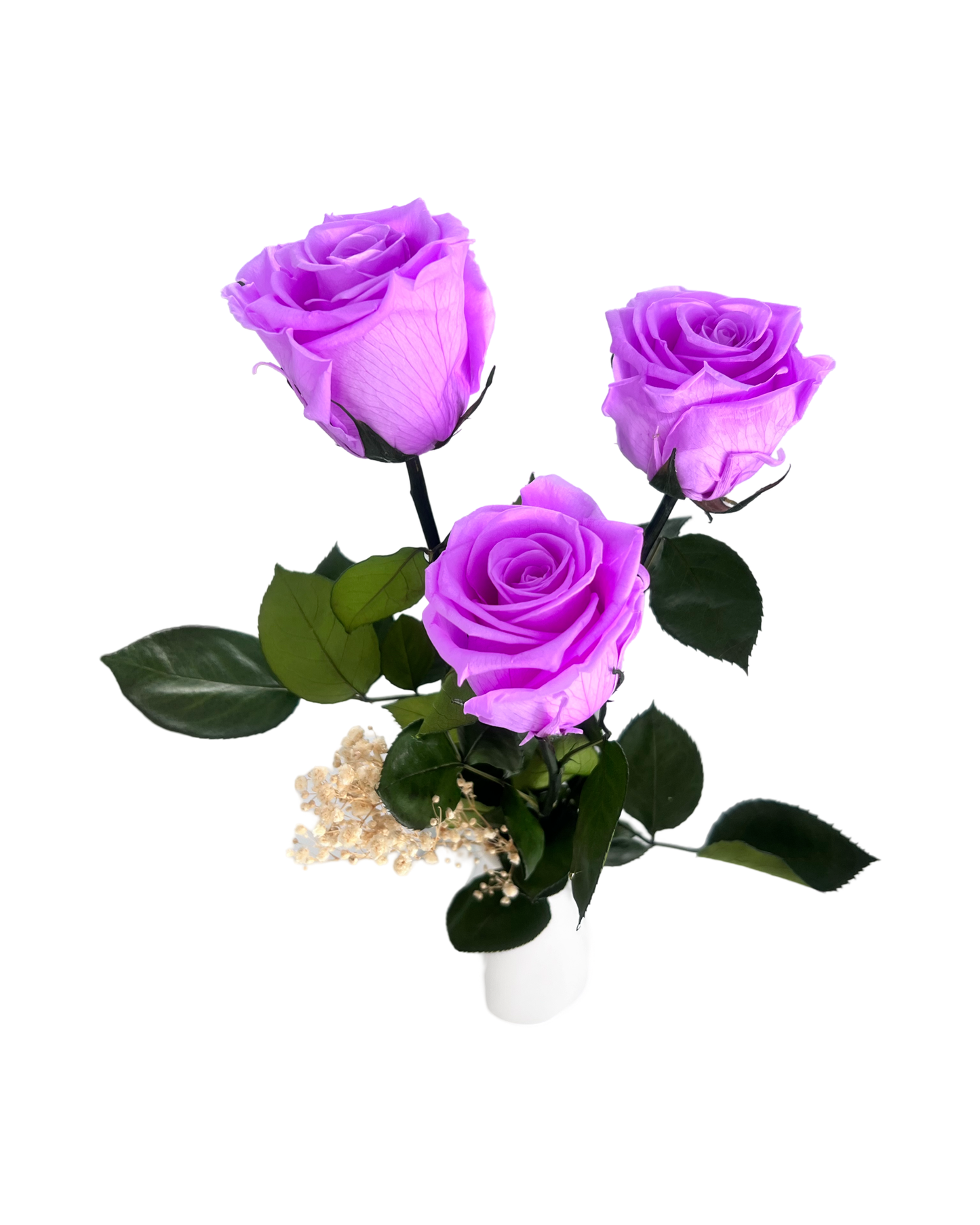 purple large roses